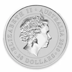 2010 1kg Australian Perth Mint Silver Koala (2)