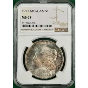 Morgan Silver Dollar (4)